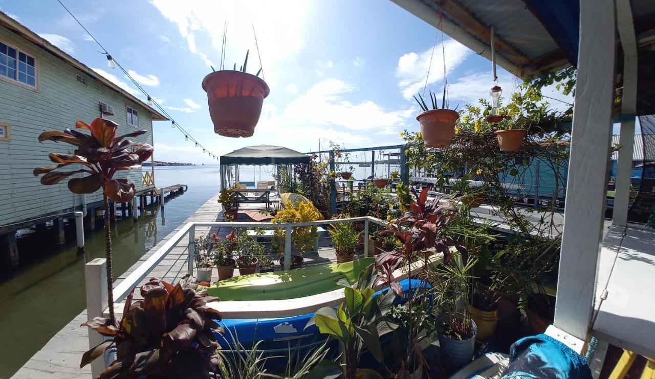 Villa Urania House Bocas del Toro Esterno foto